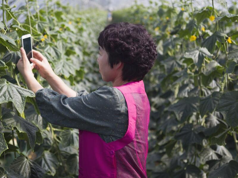 REPORT: Consumers See Tech Innovation as Critical for Future Sustainability