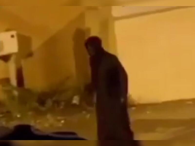جني الباحة