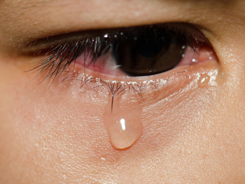  (Shutterstock)	