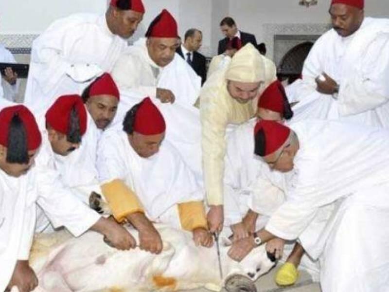 أما في المغرب وبعض الدول العربية الأخرى، فقد اتجهت المساعي إلى تخصيص سوق للأضاحي أو مسالخ خاصة تعمل ضمن تدابير وقائية ومعدات فحص خاصة بالجائحة.