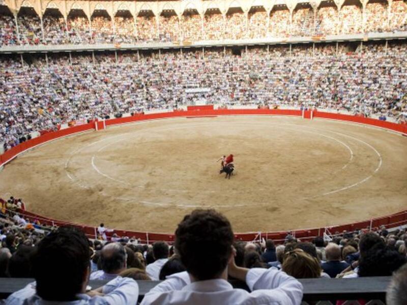 Bullfighting (Twitter)