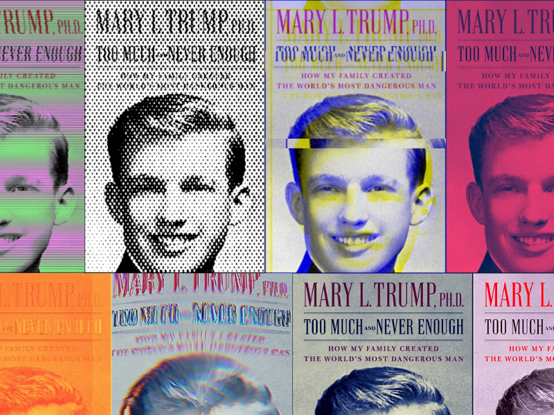 'Flirted With the Niece and Paid for High SAT Score': 8 of the Darkest 'Secrets' Found in Mary Trump's Book