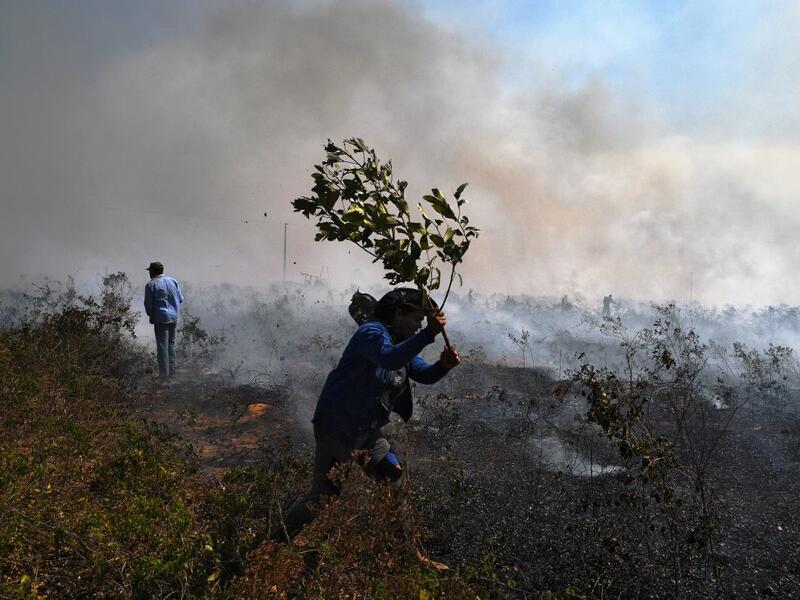 Farm workers try to put out an illegal fire which burned part of the Amazon rainforest reserve and was spreading to their land north of Sinop, in Mato Grosso State, Brazil, on August 10, 2020. Carl DE SOUZA / AFP