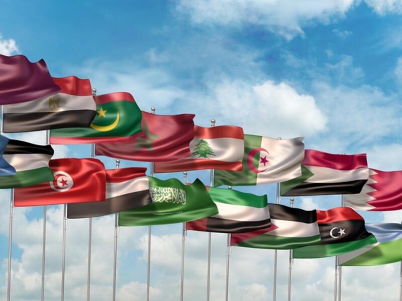 The national flags of the 22 countries member states of the Arab League oranization  (Shutterstock)	