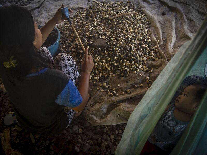 This picture taken on February 12, 2019 shows Putri (not her real name), who got married in 2017, breaking candlenuts under her parents' stilt house while caring for her child (R) in the village of Pokkang in Mamuju, West Sulawesi. Child marriage has long been common in traditional communities from the Indonesian archipelago to India, Pakistan and Vietnam, but numbers had been decreasing as charities made inroads by encouraging access to education and women's health services. YUSUF WAHIL / AFP