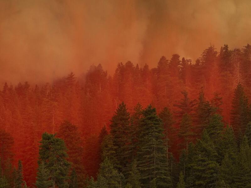 Fire retardant from a Coulson 737 firefighting tanker jet falls on a forest to slow the Bobcat Fire at the top of a major run up a mountainside in the Angeles National Forest on September 10, 2020 north of Monrovia, California. California wildfires that have already incinerated a record 2.3 million acres this year and are expected to continue till December. The Bobcat Fire has grown to about 24,00 acres, and is 6% contained. David McNew/Getty Images/AFP DAVID MCNEW / GETTY IMAGES NORTH AMERICA / Getty Image