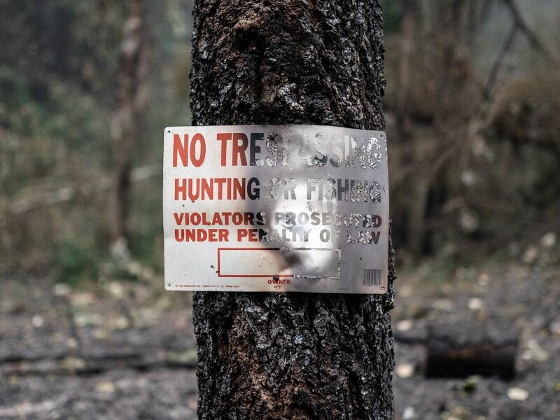 Multiple wildfires grew by hundreds of thousands of acres this week forcing evacuations and road closures. Nathan Howard/Getty Images/AFP