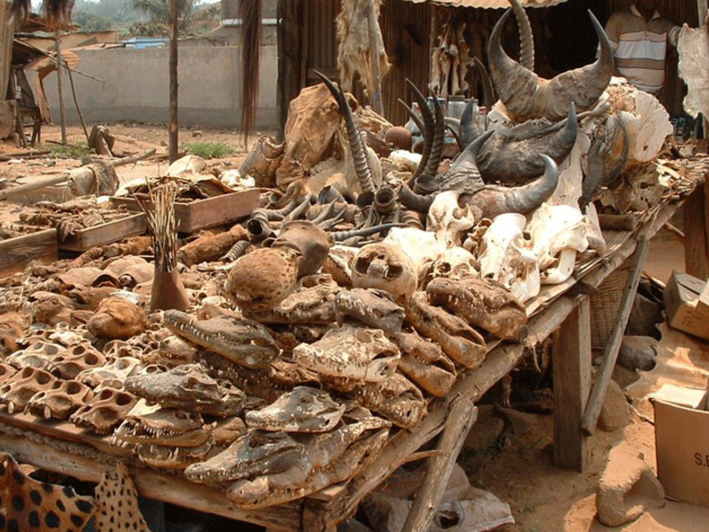 5. Lome Voodoo Market in Togo