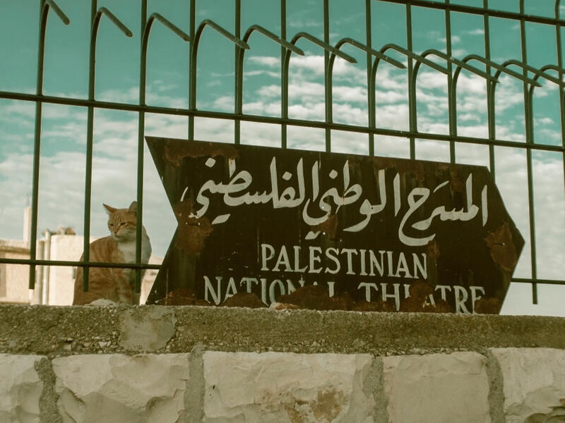 The cat in Old Town Jerusalem is watching tourists from above. Sentence in Hebrew means: Palestinian National Theatre. (Shutterstock/ File Photo)