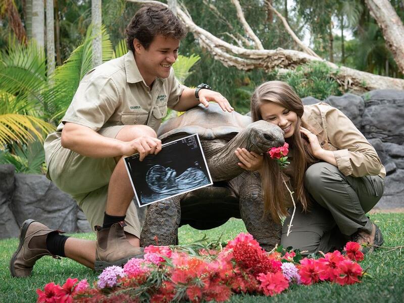Our beautiful daughter is now about the same size as a hatchling Aldabra tortoise and is as healthy as can be. We can’t wait for her arrival next year. (Instagram)