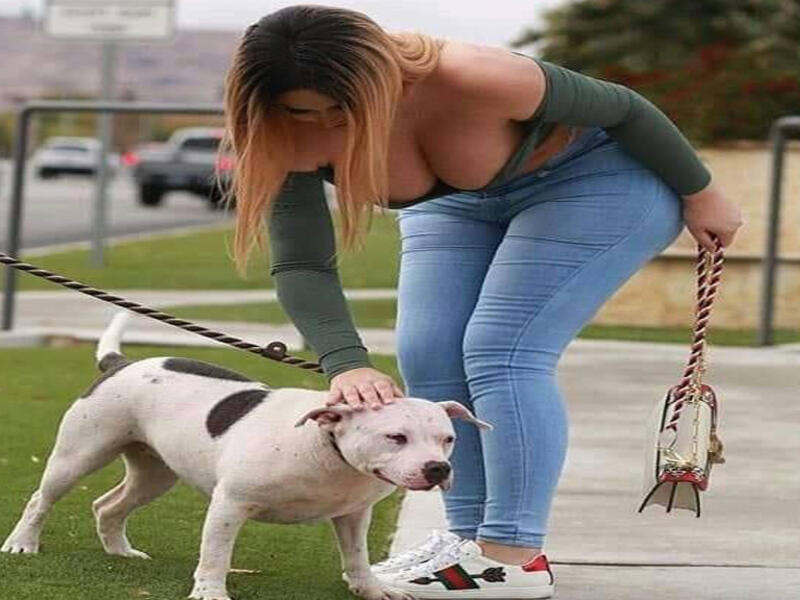 حبيبي