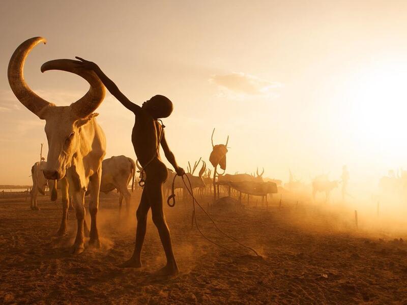 Saudi Photographer Hesham Alhumaid's photo captioned Saving The Cows - Terakeka - South Sudan. (Instagram/@hesh4m)