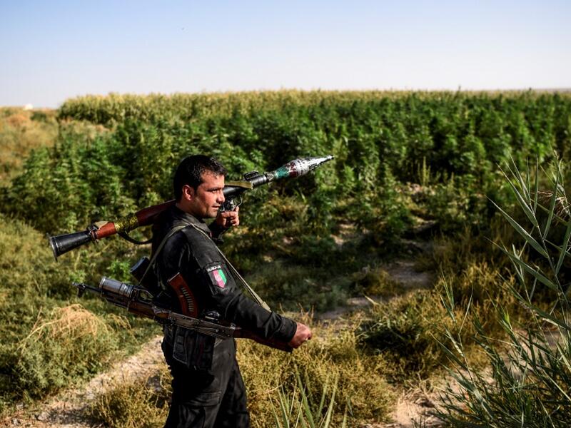 In this photo taken on September 27, 2020, a policeman holds a rocket-propelled grenade (RPG) as he walks near a hashish plantation at Deh Qubad village in Maiwand district of Kandahar province. The dry and dusty village of Aziz Abad in Maiwand district sits on the frontline of Afghanistan's war and is currently under government control -- but only just. WAKIL KOHSAR / AFP