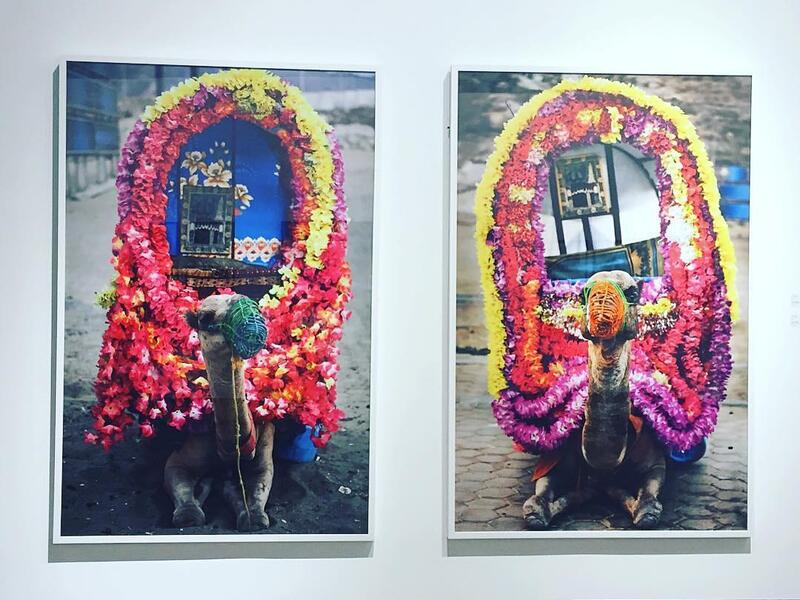 Shara Hafez space. (Instagram)