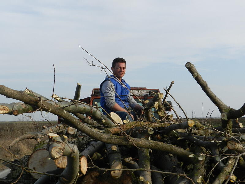 A young man is sitting on a cart full of cuttings wood, Romania /Photo by Ewelina Lepionko