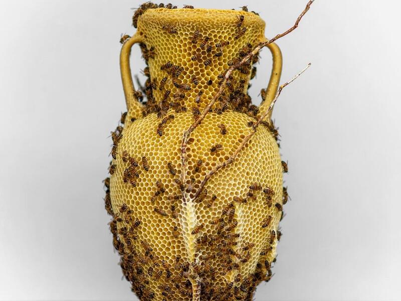 The Honeycomb Amphora No.1 (2020) from the “made by bees” series (Instagram)