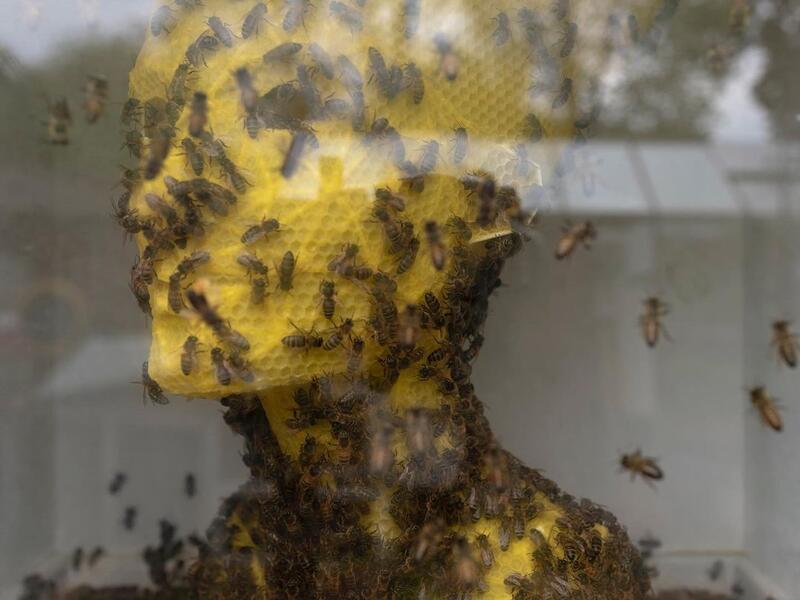 ETERNITY / 2019-20 “made by bees” series Materials: natural beeswax, wood, glass, Cor-ten steel (Instagram)
