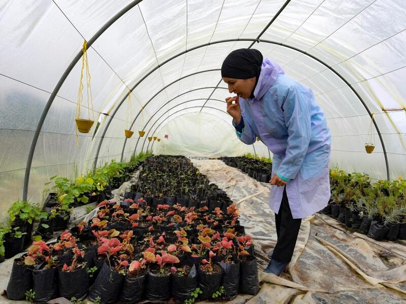 Sonia Ibidhi, a 42-year-old journalist turned to organic farming, tastes some petals in the greenhouse of her small farm where she produces edible flowers, in the northwestern Tunisian coastal town of Tabarka, on Januray 28, 2021.FETHI BELAID / AFP