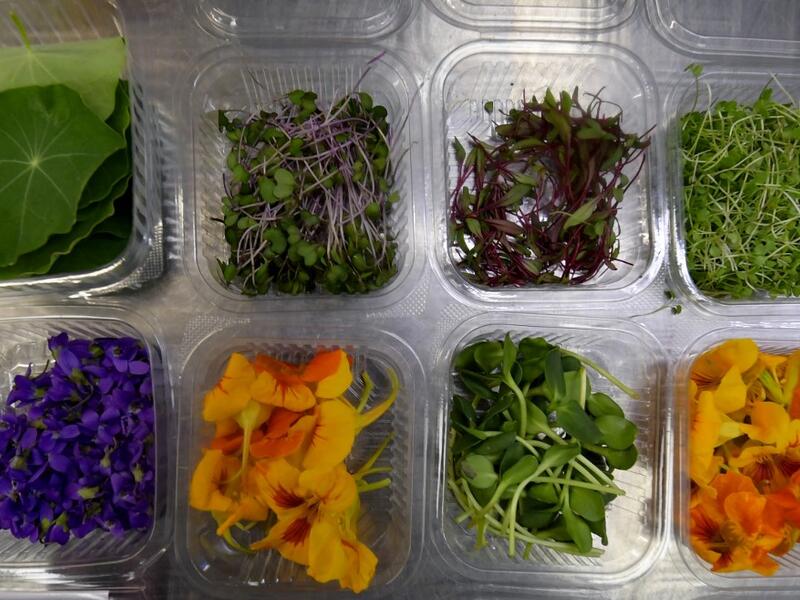 Tunisians already use certain flowers in their traditional cuisine. Some sweets feature dried rose petals, while lavender is an ingredient in a spice mix used in couscous recipes. But fresh flowers, which can be used for dishes from soups to salads as well as teas, are a novelty.  FETHI BELAID / AFP