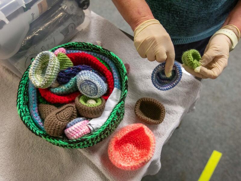 Volunteer at Wildlife Rehabilitation Ireland, Joan Scully sorts through knitted nests for injured birds donated by members of the public, at their new premises situated behind the Tara na Ri Pub, which is shuttered due to the Covid-19 pandemic, at Garlow Cross outside Navan in County Meath, Ireland on February 18, 2021. Since Ireland's first coronavirus lockdown pub the Tara Na Ri has been closed to regulars, but now it hosts a menagerie of new clientèle as the nation's first wildlife hospital. PAUL FAITH /