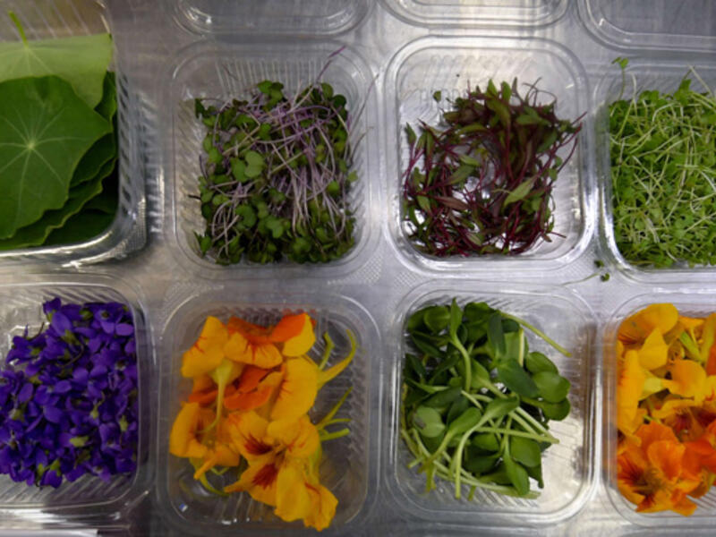 Boxes of edible leafs and flowers are pictured in Tunisian chef Bassem Bizid’s kitchen to be used to prepare dishes at a luxury hotel in Gammarth, an upscale northern suburb of the capital Tunis. (AFP)