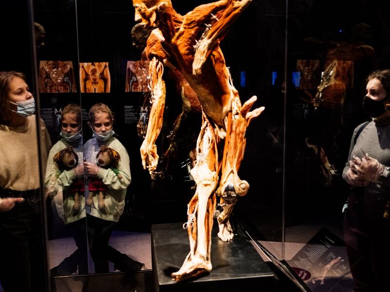 People visit the "Body Worlds", the anatomical art exhibition of plastinated human bodies