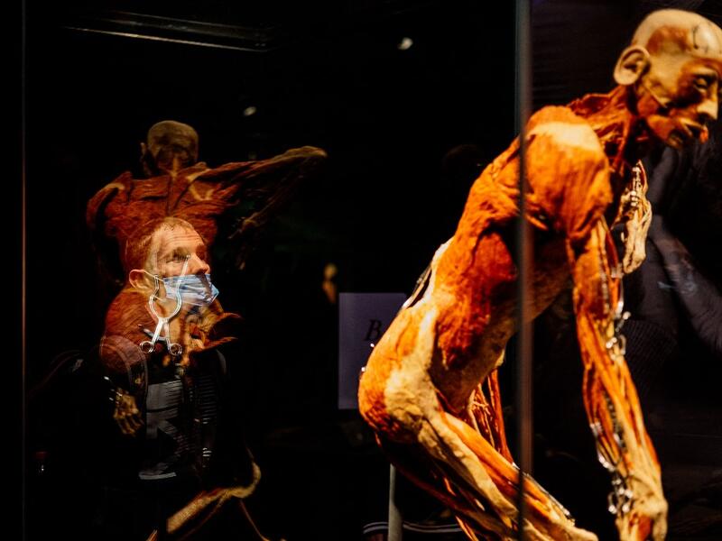 People visit the "Body Worlds", the anatomical art exhibition of plastinated human bodies