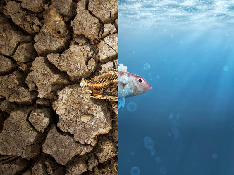 Environmental disasters in February