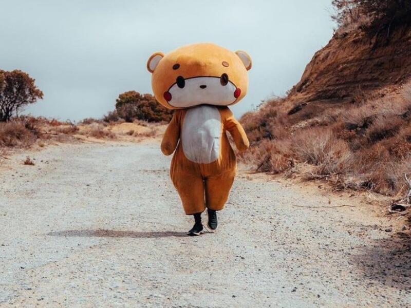 الدبدوب Bearsun