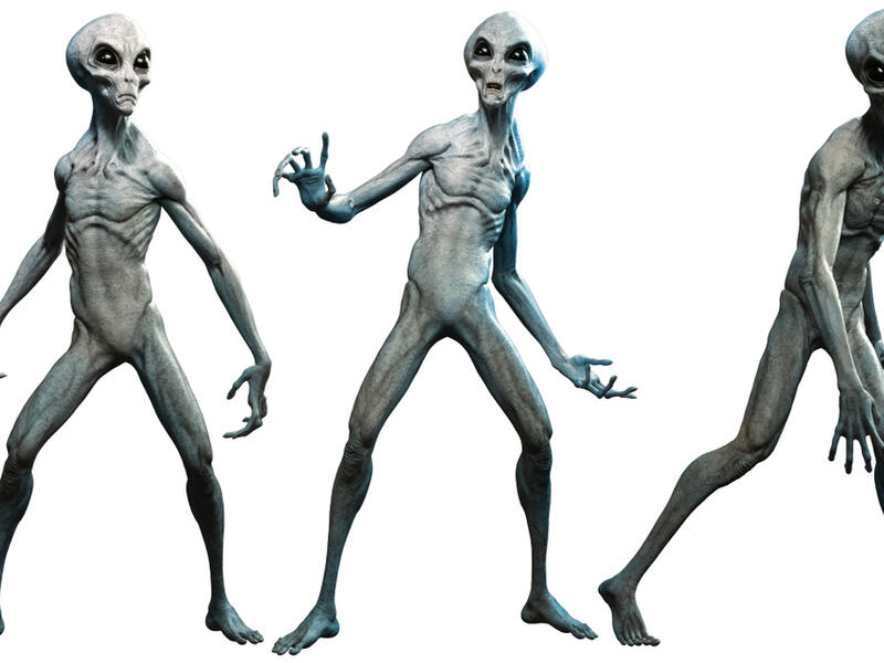 Grey aliens 