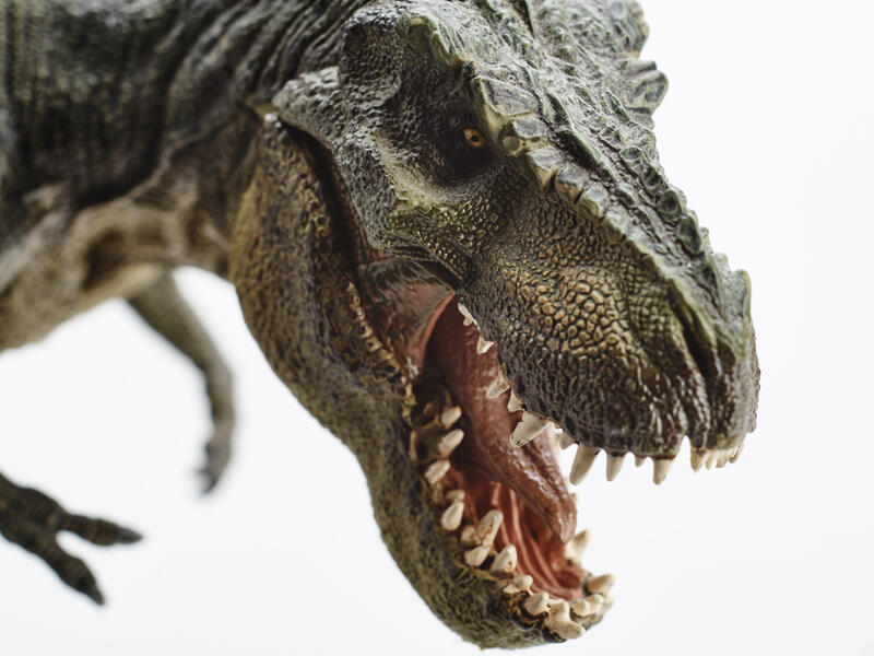 Isolated dinosaur 