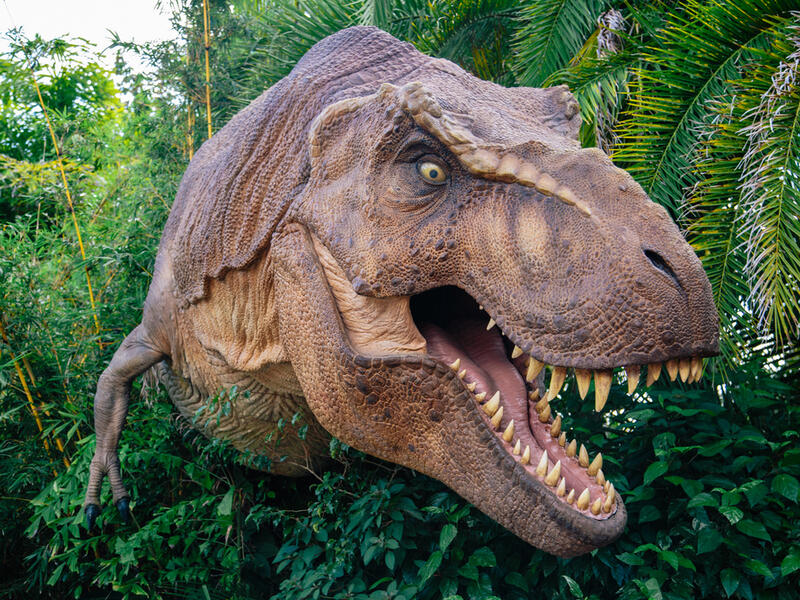 T-Rex
