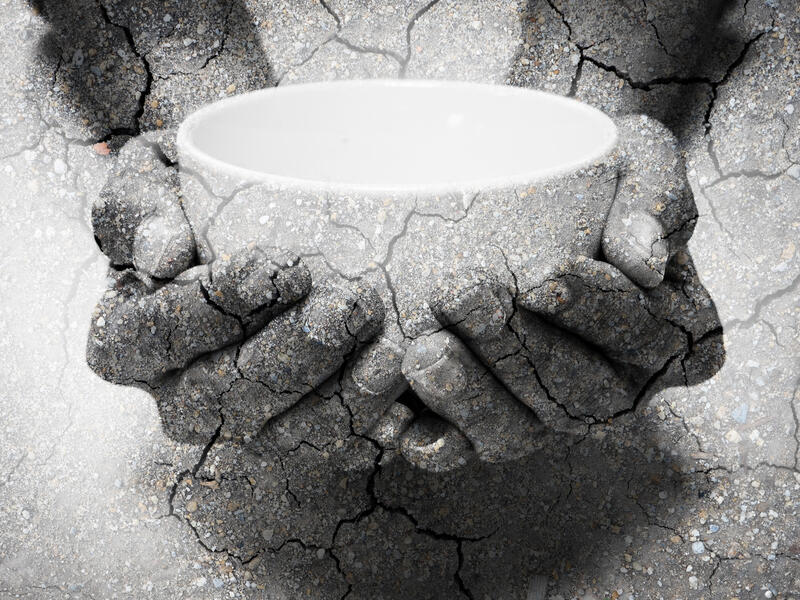 A hungry world 