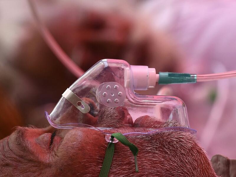 Total covid-19 cases in India tops 20 million
