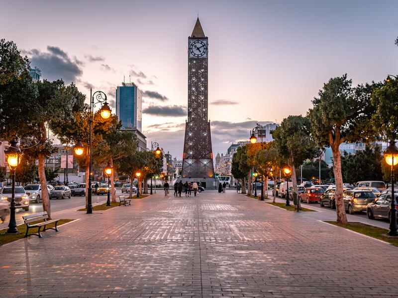 4. تونس