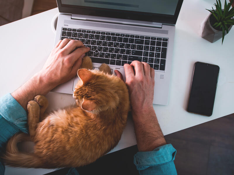 remote work
