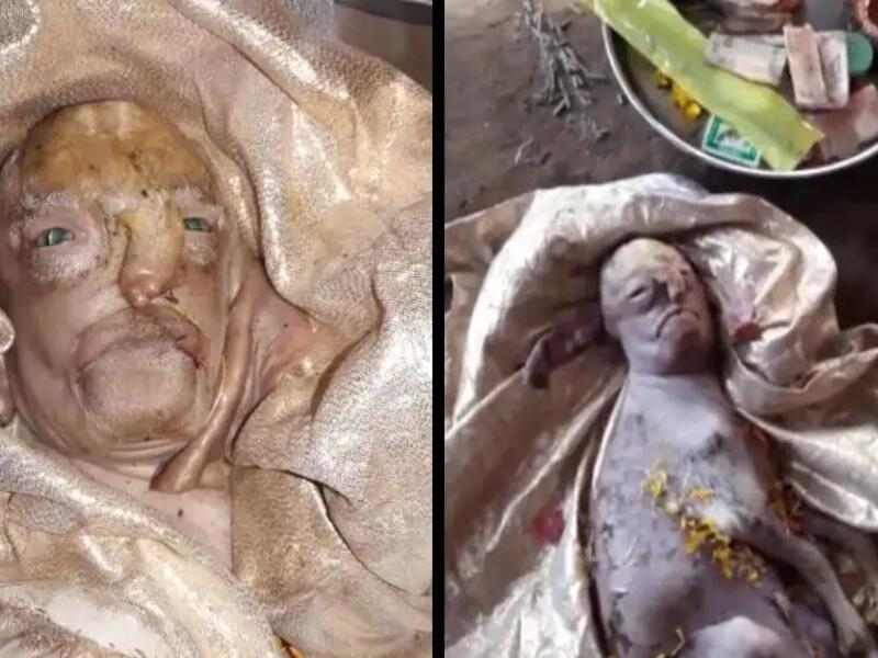 ولادة ماعز بوجه بشري في الهند