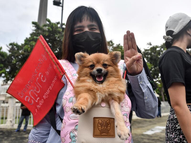 Anti-government Protesters in Thailand