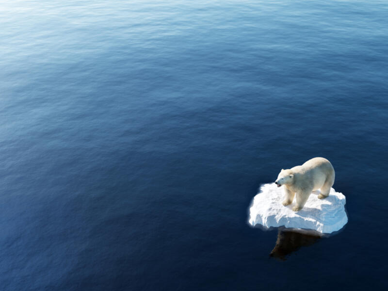 Climate Change