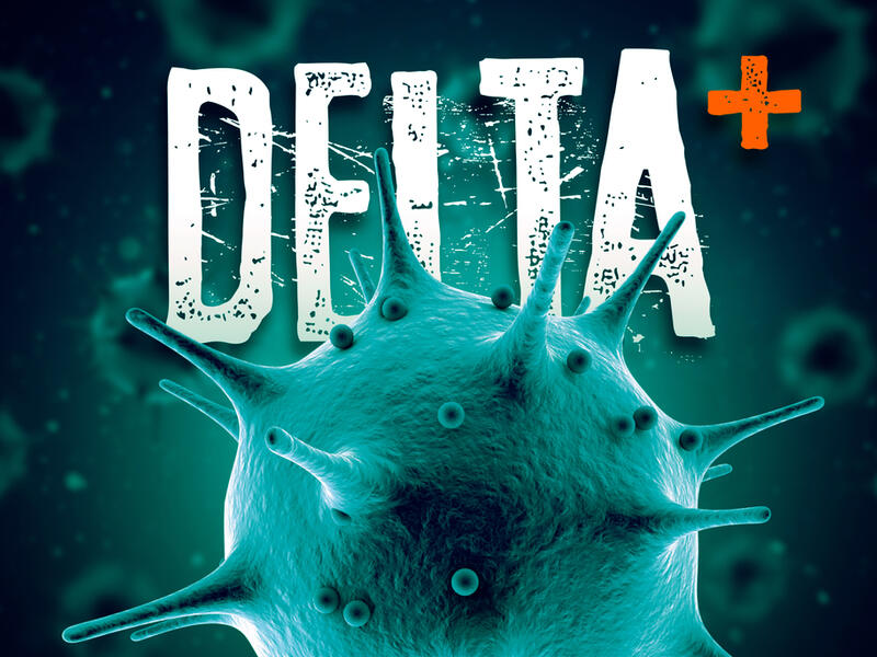 Delta plus variant