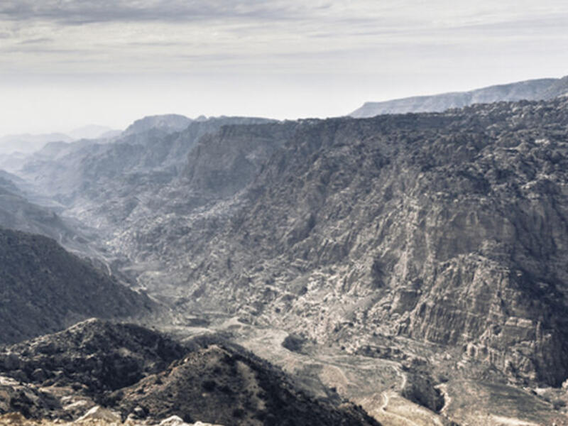 Dana nature reserve 