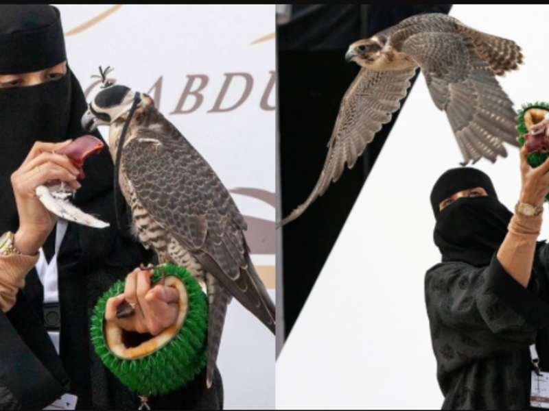 Saudi falconry festival starts in Riyadh