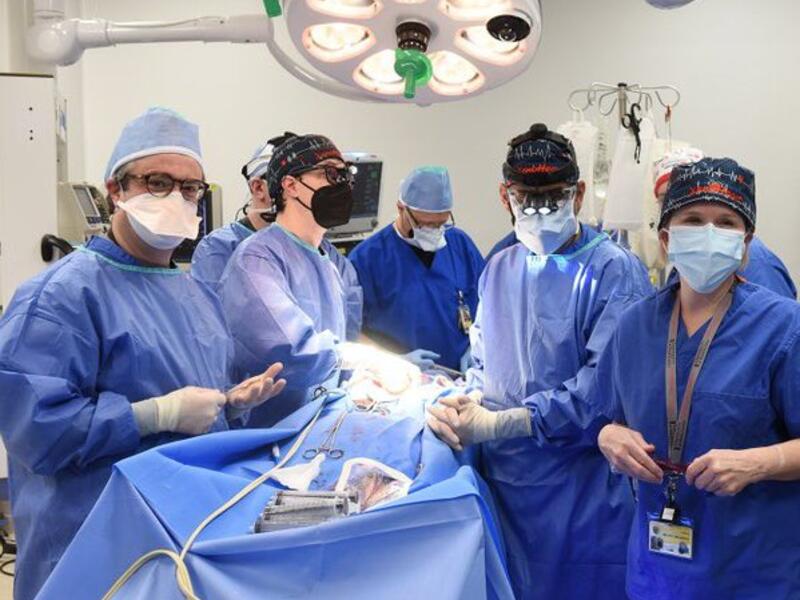 زراعة قلب خنزير في جسد إنسان بأول تجربة في التاريخ
