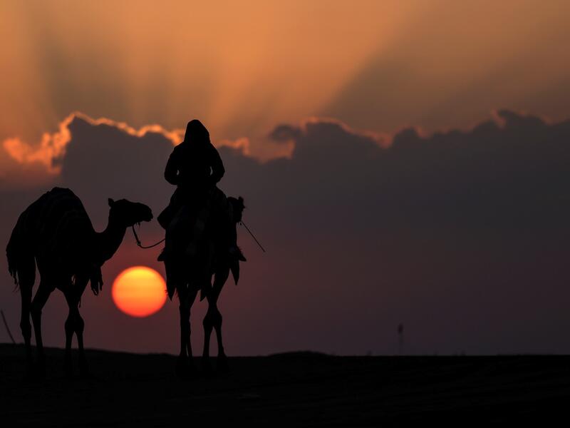 Mazayin Dhafra Camel Festival