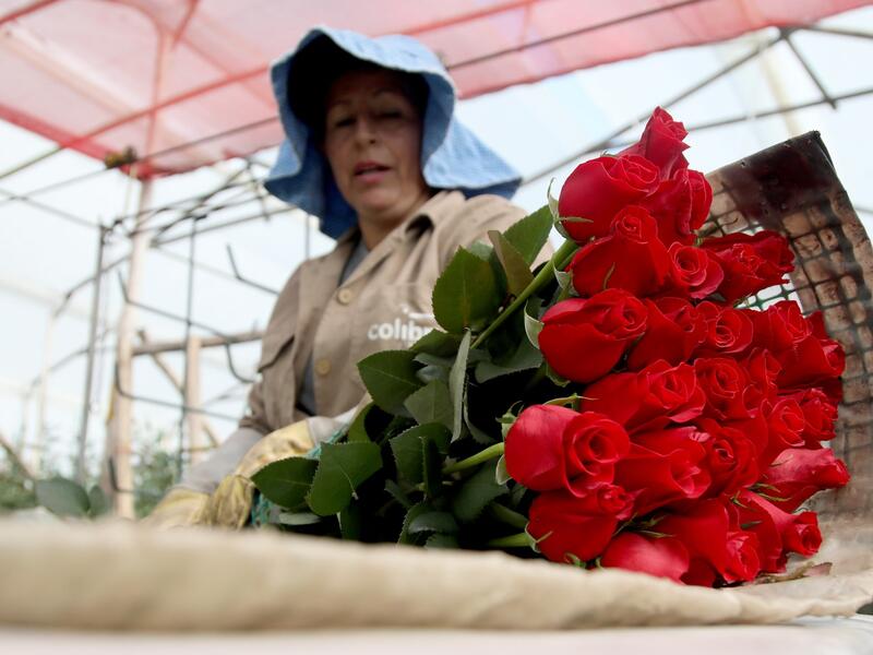 Valentine's day