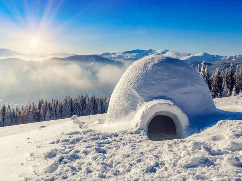 igloo cafe 
