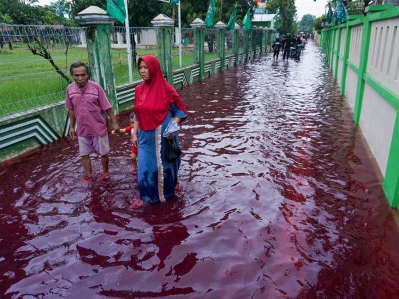 batik factory