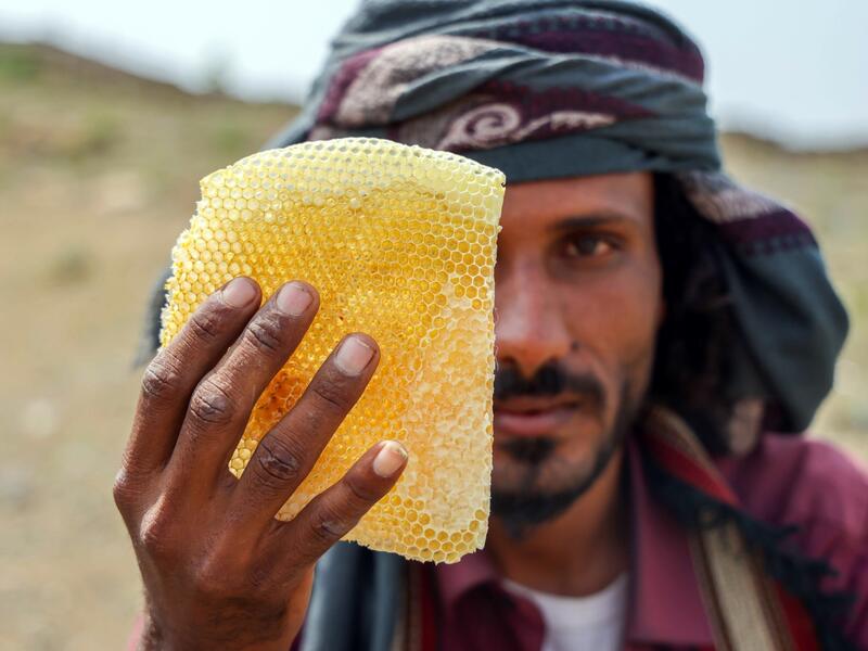 honey production