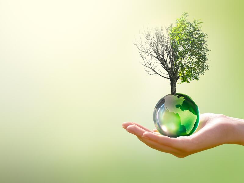 Climate crisis 