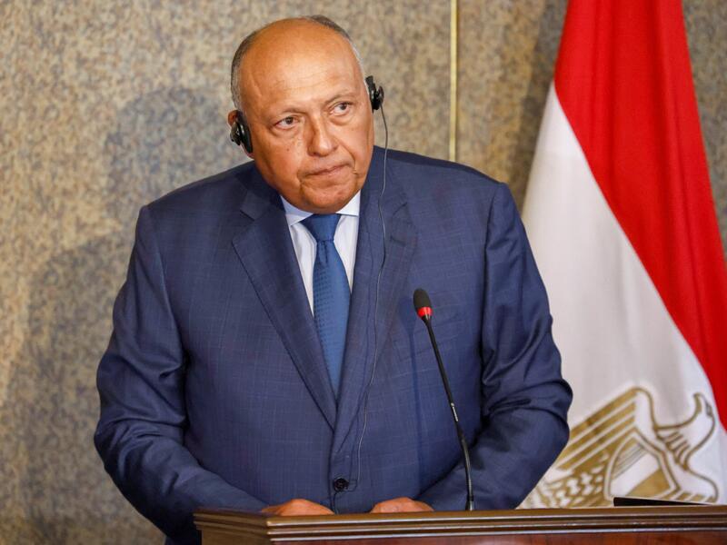  وزير الخارجية المصري سامح شكري